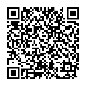 虽然做好了挨批的准备但是当白山市委书记唐炳坤亲自打电话给林二维码生成