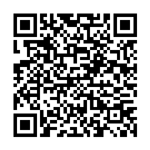 虽然公主殿下从小就听到了各种各样的奉承和赞美二维码生成