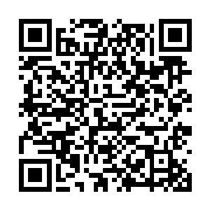 虽然冥王也知道冥界里的这些修士战力并不算出众二维码生成