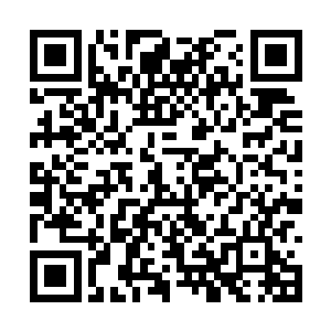 虽然凌菲的脸在她陷入昏迷的时候已经看过无数眼二维码生成