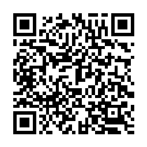虽然几大长老都不相信青玄玉的主人可能已经来到了青玉灵城二维码生成