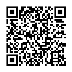 虽然刚刚的事情苏凡却是是打算对着鬼王逼问的二维码生成