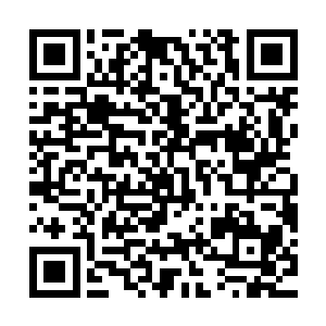 虽然刚才在白奇雪面前对小秋做出亲密动作的人不是我而是雅文二维码生成