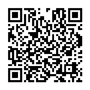 虽然前期个人武力会比那些兵伐决出身的战士进展慢些二维码生成