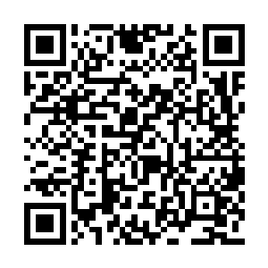 虽然北辰皇心中着实不放心让自己最疼爱的儿子二维码生成