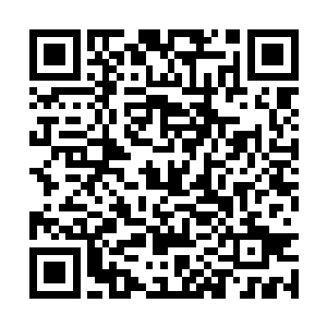 虽然医生的洁癖让巴克还是选择吃自己的维生素丸二维码生成