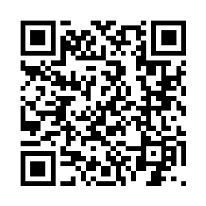 虽然十年前的他们还拥有彭格列指环二维码生成