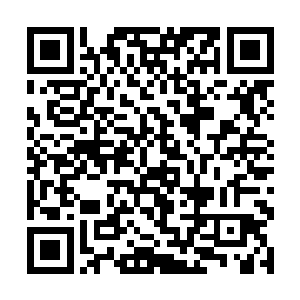 虽然南宫啸的师父没将九幽一族的血脉彻底发挥出来二维码生成