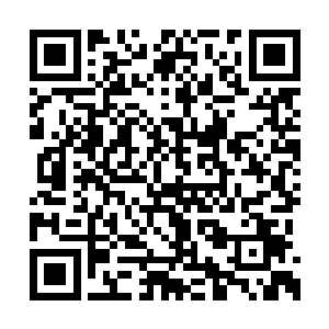 虽然南宫璟月这些年几乎都带在联邦没有回来过二维码生成