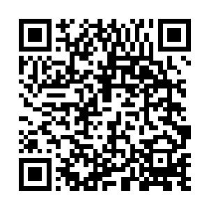 虽然即使是命运天盘也不能准确指出一个不可变的未来二维码生成