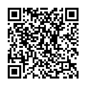 虽然去接他们的炎角人早就在路上跟他们介绍过炎河交易区二维码生成