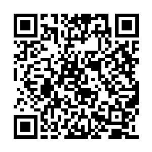 虽然可以通过梦想成真之力达到无所不能的效果二维码生成