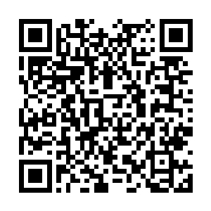 虽然叶璃很是怀疑着两个小家伙到底知不知道好坏二维码生成