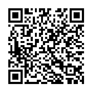 虽然吴虎臣并不知道这雾海之中的迷雾到底是什么东西二维码生成