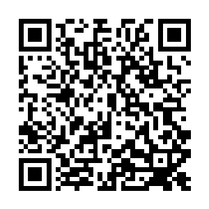 虽然和我预想中对白奇雪说出这句话的场景不太一样二维码生成