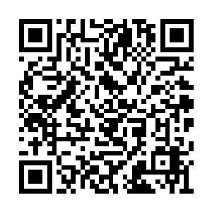 虽然喷涌的岩浆没有覆盖牡丹和蝴蝶飞舞的区域二维码生成