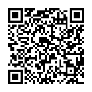 虽然四海皆知西陵岛上的万煞真域入口是最大的一个二维码生成