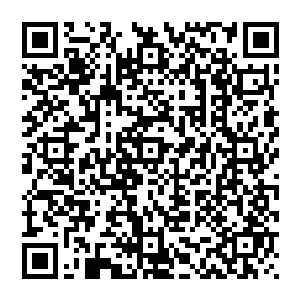虽然因为两人公爵的身份在场的人都不敢胡乱说些什么　但是所有人看着他们的目光　已经说明了一切二维码生成