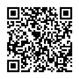虽然因为这段时间的相处让林欣悦逐渐接受了秦月瑶二维码生成