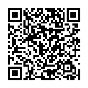 虽然因血河之主境界不足的原因无法发挥真正威力二维码生成