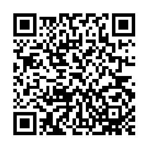 虽然圣灵们发挥出来的实力比起人族的八品巅峰都要强大许多二维码生成