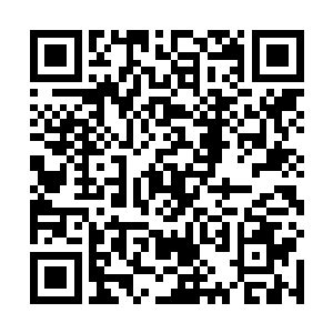 虽然在一个废旧的工厂仓库发现了沾有佘虎血迹的绷带二维码生成