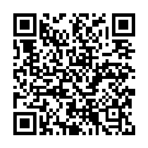 虽然在向西夏人请教的时候被人家揍得鼻青脸肿二维码生成