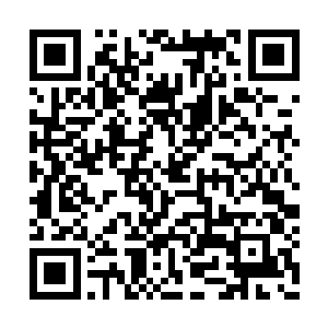 虽然在平时的打猎过程中起不到什么太大的作用二维码生成