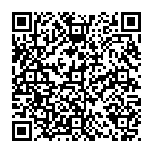 虽然在我看来康德拉不过就是在海上呆了二十年大脑放空从而喜欢说胡话的神经病二维码生成