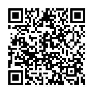 虽然在苏凡的心中很是想要解决掉鬼王这个家伙二维码生成