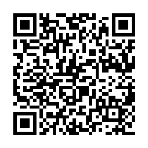 虽然在这一千余修士中有些修士并不怕八阶妖兽二维码生成