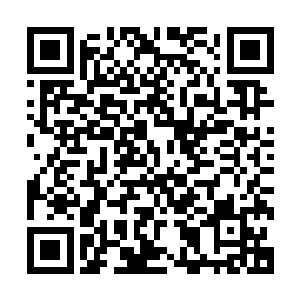 虽然在镇子里面的一干灾民仿佛是翻腾的热粥那样搅动了起来二维码生成