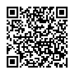 虽然天元大陆上还从来没有流传出莫天云的成长经历二维码生成