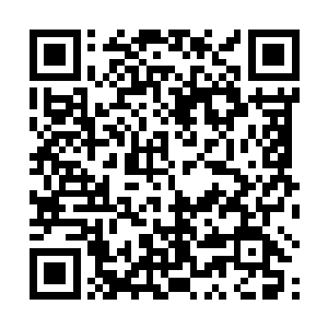 虽然她们想要斩杀一头一级妖兽也能做到叶尊这般轻松二维码生成
