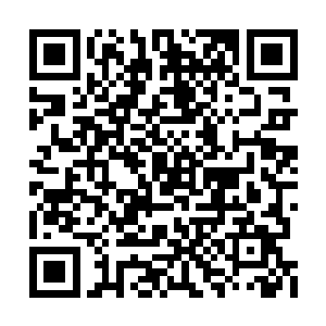 虽然她几乎是百分之百不相信秦方可以逃出去的二维码生成