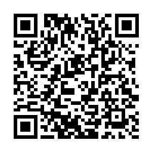 虽然她因为刚过来不知日期而并不清楚那到底是哪一天二维码生成