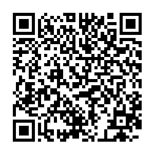 虽然她对这个恶劣的仿佛还没有长大的孩子一般的定王也没有感情二维码生成