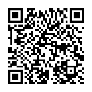 虽然她当时看到的那些美景只是网络上的一些珍贵图片二维码生成