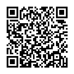 虽然她找到了路径却不知道是什么原因造成的这种结果二维码生成
