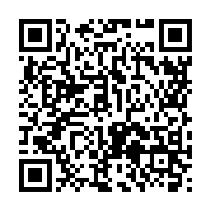 虽然她早就看出沈喜臻有些跟别人不同寻常的地方二维码生成