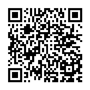 虽然她是挺想看宫崎骏的新作的……这种事情不是应该找妹子么二维码生成