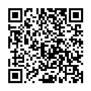 虽然她用尽办法也没有在教官嘴里知道这个部队的番号二维码生成