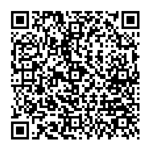 虽然她的实力果然如剑尘所说的那样提升了许多但和付出的代价相比起来她宁愿不提升这个实力二维码生成