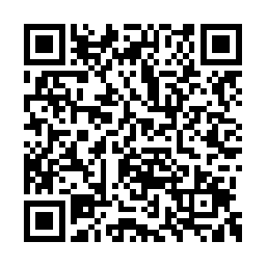 虽然她觉得自己不会被区区马车的颠簸给影响了二维码生成