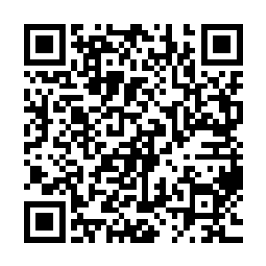 虽然她顶住了混乱魔力注入体内带来的一波又一波的意志检定二维码生成