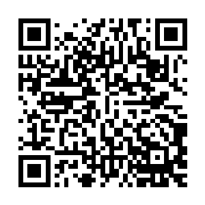 虽然妖溺天通过外放妖气和舞杖格挡保证了自己没受什么致命伤二维码生成