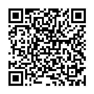 虽然它不能理解黑白骷髅之间互为牺牲的高尚举动二维码生成