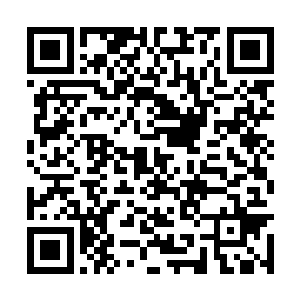 虽然它们不知道那飞纵的白影到底是什么可怕玩意二维码生成