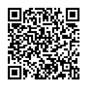 虽然它相比完全体的小龙那数十丈长的庞大身躯二维码生成