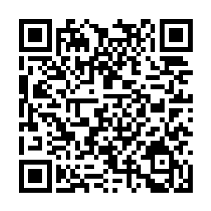 虽然完全想不明白少爷为什么一点都不担心的样子二维码生成